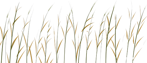 0d356dc3c3457e53c3a7d214ecf29764