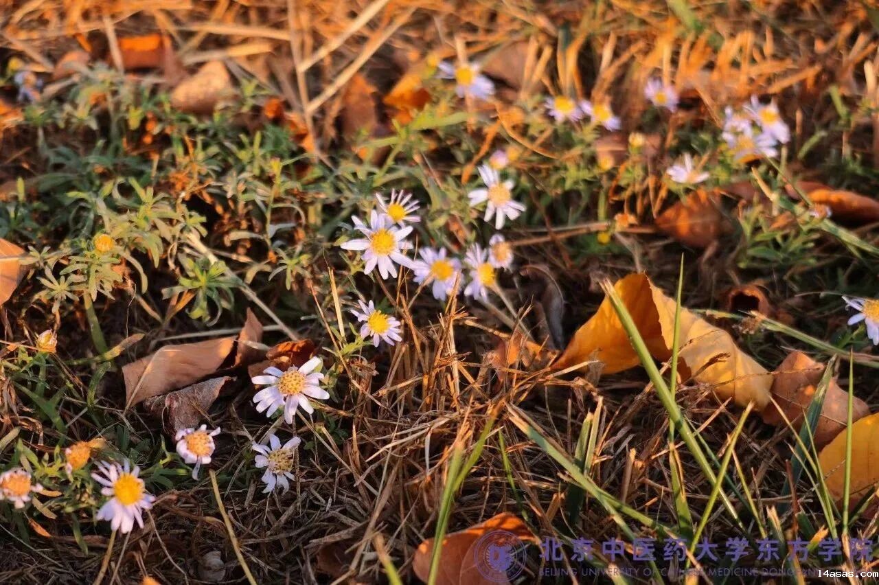 252591972d7108132bd77047e98a1477