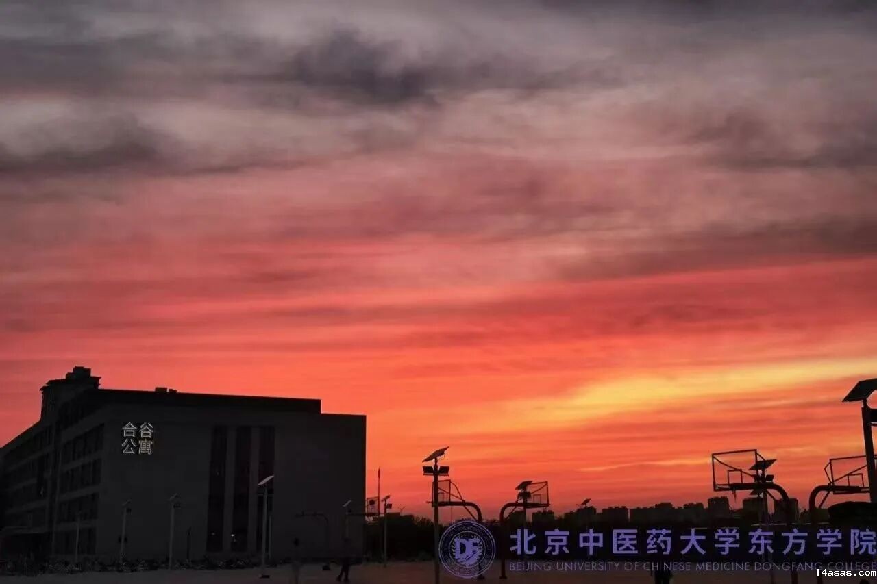 79f42663a0425754a720e0f46949c43f