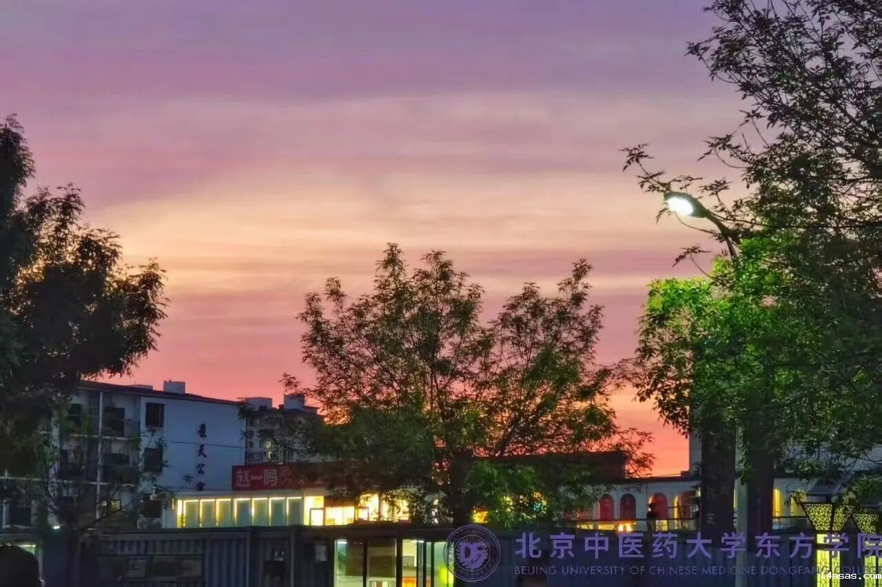 f218a6d6c3ddebd1c0f3c6b73c1bc3a5