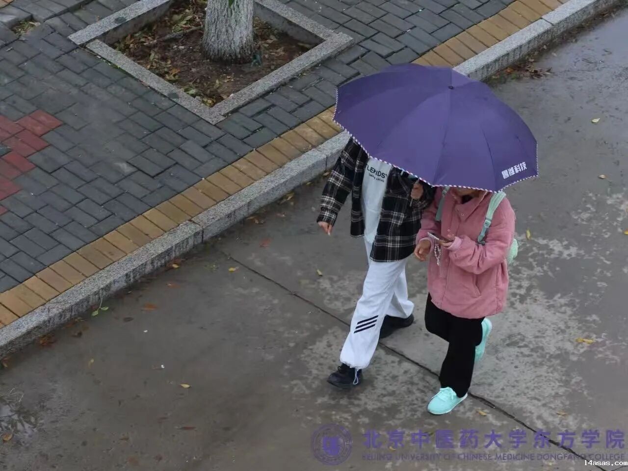 01cd0660f3743ea622d9f5eee2a9c20e