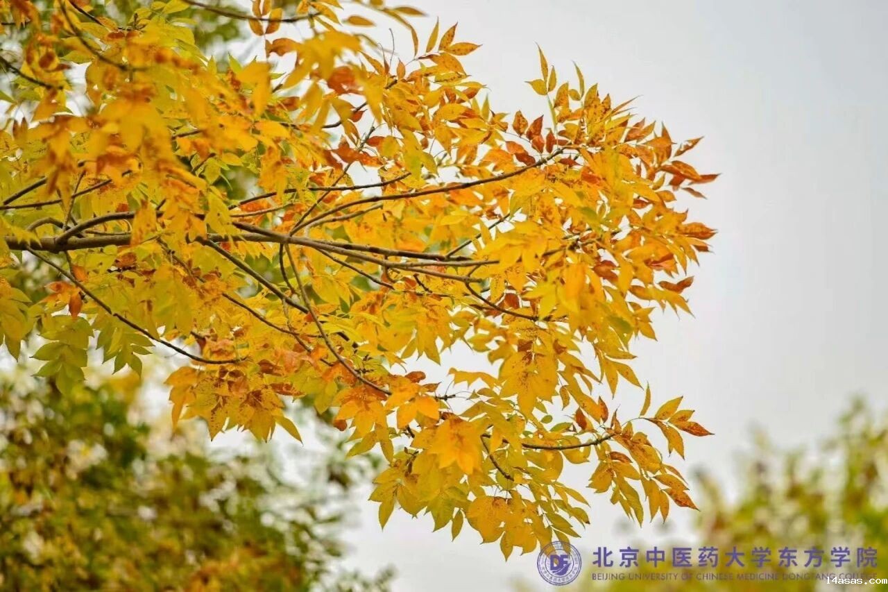 0924357dbb2750536f7e5db56fff1ef4