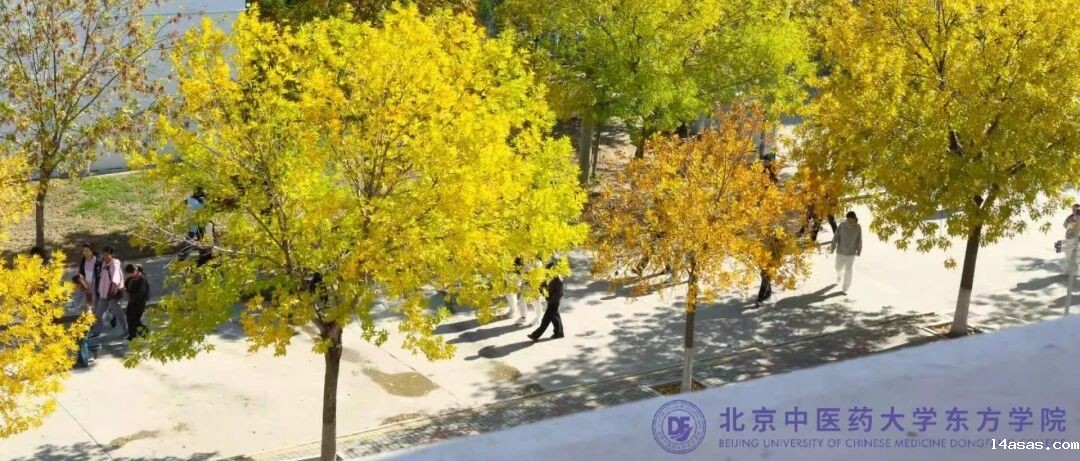 a40feefe33401c2e941183dfd45142a0