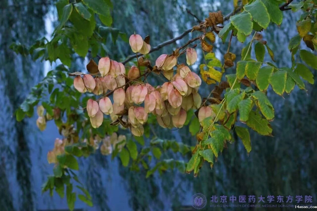 f3ac21b34cde3028d88846906d29c0b2